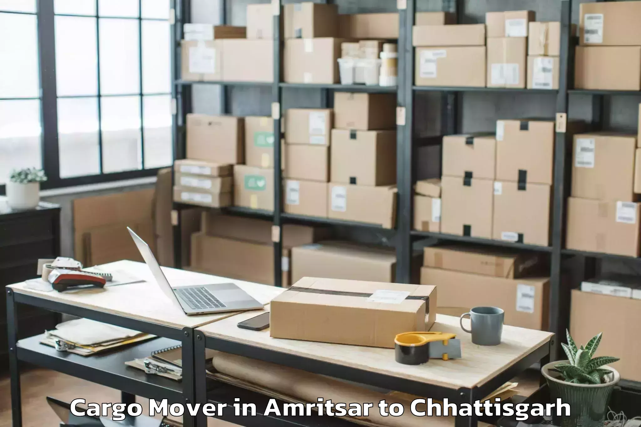 Top Amritsar to Pandit Ravishankar Shukla Univ Cargo Mover Available